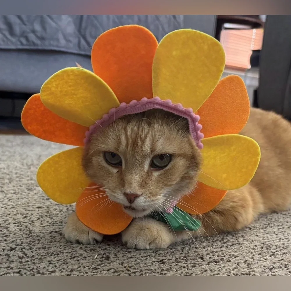 Colorful Flower Pet Costume /Headpiece